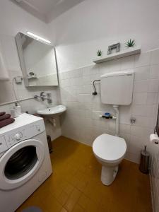 ドニー・ミラノヴァツにあるFamily Apartmanのバスルーム(洗濯機、シンク付)