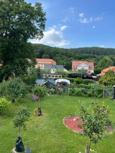 a garden with trees and flowers in a field at Ferienwohnung Schmidt in Wernigerode