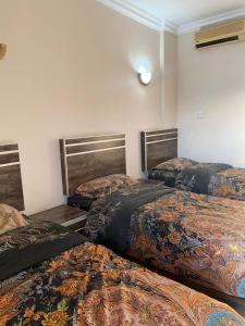 Fotografie z fotogalerie ubytování Aqaba Adventure Divers Resort & Dive Center v destinaci Aqaba