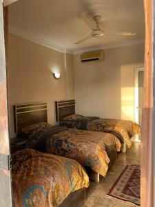 Fotografie z fotogalerie ubytování Aqaba Adventure Divers Resort & Dive Center v destinaci Aqaba