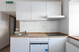 Kuchyň nebo kuchyňský kout v ubytování Apartmán Muzeum obchodu