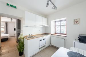 Kuchyň nebo kuchyňský kout v ubytování Apartmán Muzeum obchodu