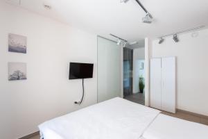 TV a/nebo společenská místnost v ubytování Apartmán Muzeum obchodu