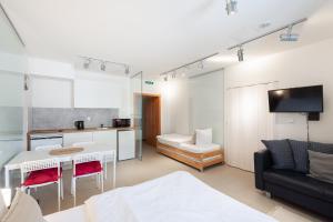 TV a/nebo společenská místnost v ubytování Apartmán Muzeum obchodu