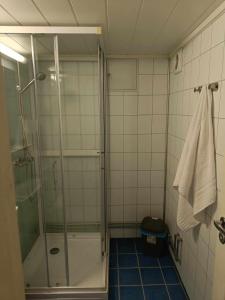 a bathroom with a shower and a blue tile floor at SAGA Overnatting in Kirkenes