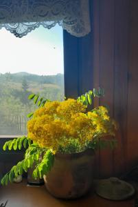 Fotografie z fotogalerie ubytování Kremna Cottage v destinaci Kremna