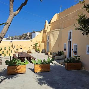een gebouw met cactussen en planten ervoor bij Caval II in Fira