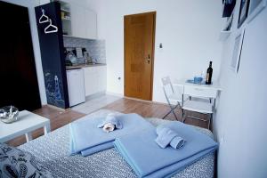 Kuchyňa alebo kuchynka v ubytovaní Studio Apartments Shanti