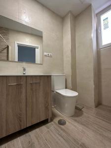 uma casa de banho com um WC, um lavatório e um espelho. em Sky Garden Málaga Centro em Málaga