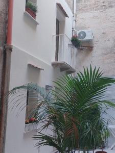 eine Pflanze vor einem weißen Gebäude mit Balkonen in der Unterkunft La Cocorita in Trapani