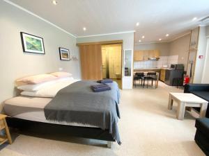 Η κουζίνα ή μικρή κουζίνα στο Studio Apartments +24 φωτογραφίες