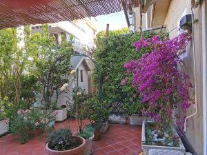 un patio lleno de plantas y flores en Villa Serena, en Viareggio