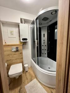 uma casa de banho com uma banheira, um WC e um lavatório. em Apartament Omega I em Giżycko