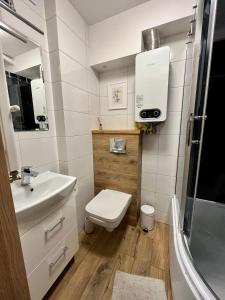 uma casa de banho com um WC, um lavatório e um chuveiro em Apartament Omega I em Giżycko