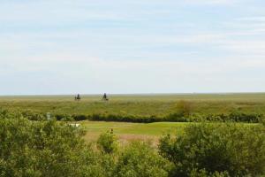 Φυσικό τοπίο κοντά σε αυτό το διαμέρισμα