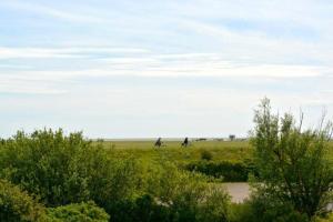 Φυσικό τοπίο κοντά σε αυτό το διαμέρισμα