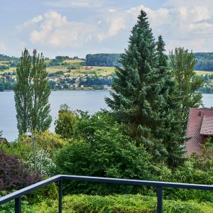 a view of a lake from a balcony at PRIMERA am See in Gaienhofen