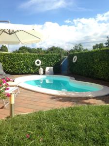 una piscina en un patio con sombrilla en Apartment Chiara & Sofì, en San Giovanni in Marignano