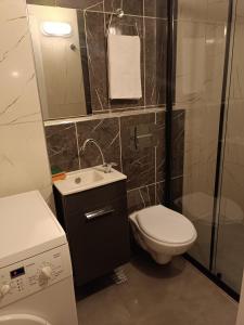 een badkamer met een toilet, een wastafel en een douche bij Taş oda in Kas