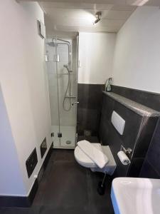 e bagno con doccia, servizi igienici e lavandino. di Truchtling Appartements a Seeon-Seebruck