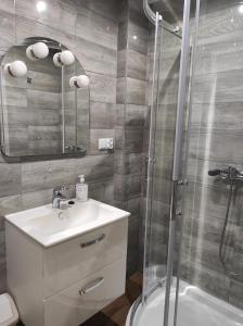 a bathroom with a sink and a shower at Stadnina koni Tarka in Zwierzyniec
