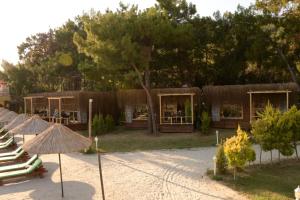 Green Pine Bungalows & Beach Luxury Concept في أولدينيس: منتجع فيه مبنى فيه شجرة وكراسي