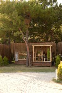 Green Pine Bungalows & Beach Luxury Concept في أولدينيس: مبنى صغير امامه شجرة