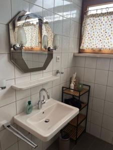 Mountain View Apartment في إنسبروك: حمام مع حوض ومرآة