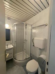 a bathroom with a shower and a toilet and a sink at Bed&Breakfast Villa Eva in Omišalj