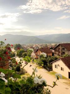 Phong cảnh thiên nhiên gần căn hộ +22 ảnh