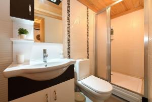 een badkamer met een wastafel, een toilet en een douche bij Garden & Wooden Ottoman house @GrandBazaar in Istanbul