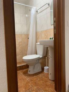 ein Bad mit einem WC und einem Waschbecken in der Unterkunft Royal L Hotel in Carev Dvor