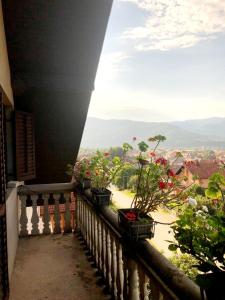 einen Balkon mit Topfpflanzen und Aussicht in der Unterkunft Apartman Alex 7 in Bajina Bašta