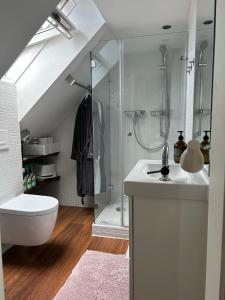 y baño con ducha, aseo y lavamanos. en Dachstudio im Geteviertel - citynah, en Bremen