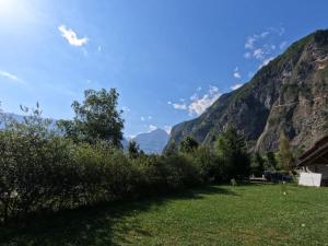 a field of grass with mountains in the background at L'escapade Oisans in Le Vert