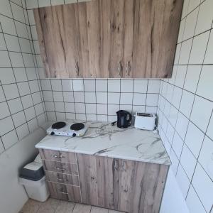 a kitchen with a counter top with a toaster and a toaster at Vila Slavonija 2 in Vrnjačka Banja