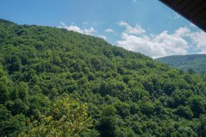 vistas a una montaña cubierta de árboles verdes en VIP Rooms Foča, Accommodation Foca, Foca Rooms, en Foča