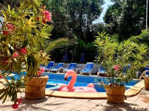 a pink flamingo in a swimming pool with plants at Hotel Feniks Lozenets in Lozenets +64 photos