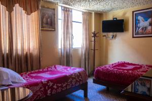 Postel nebo postele na pokoji v ubytování Hostal Carlos Luis