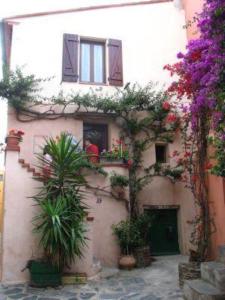 un bâtiment avec des plantes en pot sur son côté dans l'établissement Jetez l'ancre dans notre maison de pêcheur !, à Collioure