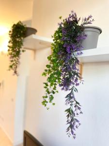 a bunch of purple flowers hanging from a shelf at Casa Paradiso: Un'oasi di relax in Cinisello Balsamo