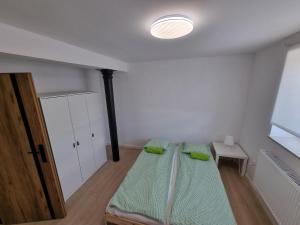 ein Schlafzimmer mit einem Bett in einem Zimmer in der Unterkunft Apartamenty Welskie in Lidzbark