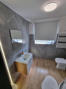 a bathroom with a sink and a toilet at Apartamenty Welskie in Lidzbark