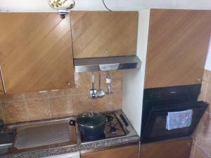 a kitchen with a stove with a pot on it at Apartmani Kasteljan 7, Stara novalja in Stara Novalja +10 photos
