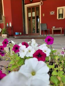 Fotografie z fotogalerie ubytování B&B Su Frascu Segau v destinaci Teulada