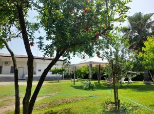 Un parque con árboles y un edificio con una carpa. en Aragon Cottage Apartments, en Le Castella