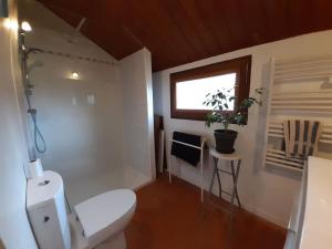 La salle de bains est pourvue de toilettes, d'une fenêtre et d'une plante. dans l'établissement Les Hautes Charmante Ferme solognote, à Ligny-le-Ribault