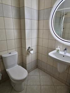 a bathroom with a toilet and a sink at Przylądek Daglezja nad Jeziorem Kórnickim in Kórnik