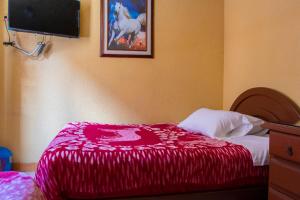 Postel nebo postele na pokoji v ubytování Hostal Carlos Luis