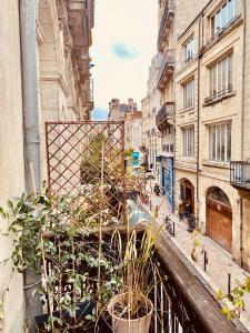 a view of a city street with buildings and plants at Appartement balcon centre historique in Bordeaux